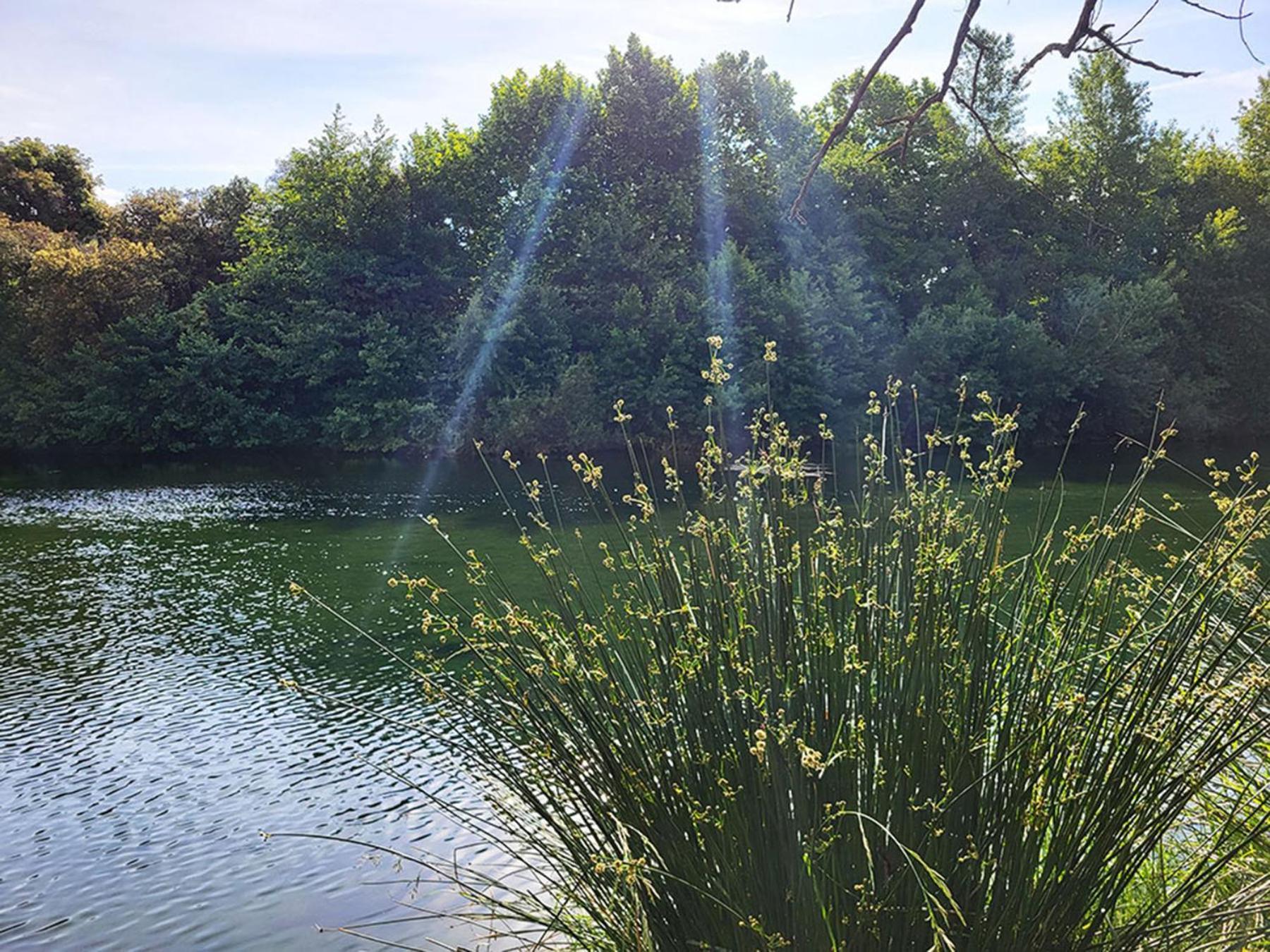 Camping Le Val De Cesse Mirepeisset 外观 照片