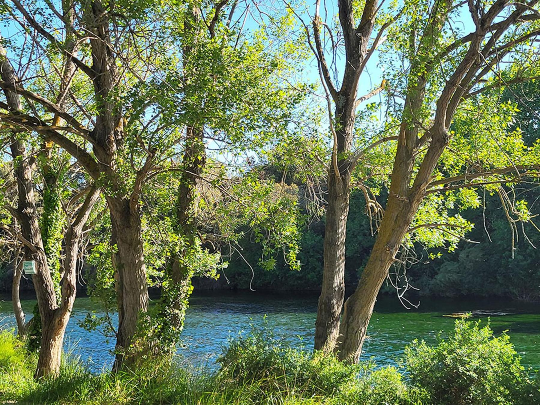 Camping Le Val De Cesse Mirepeisset 外观 照片