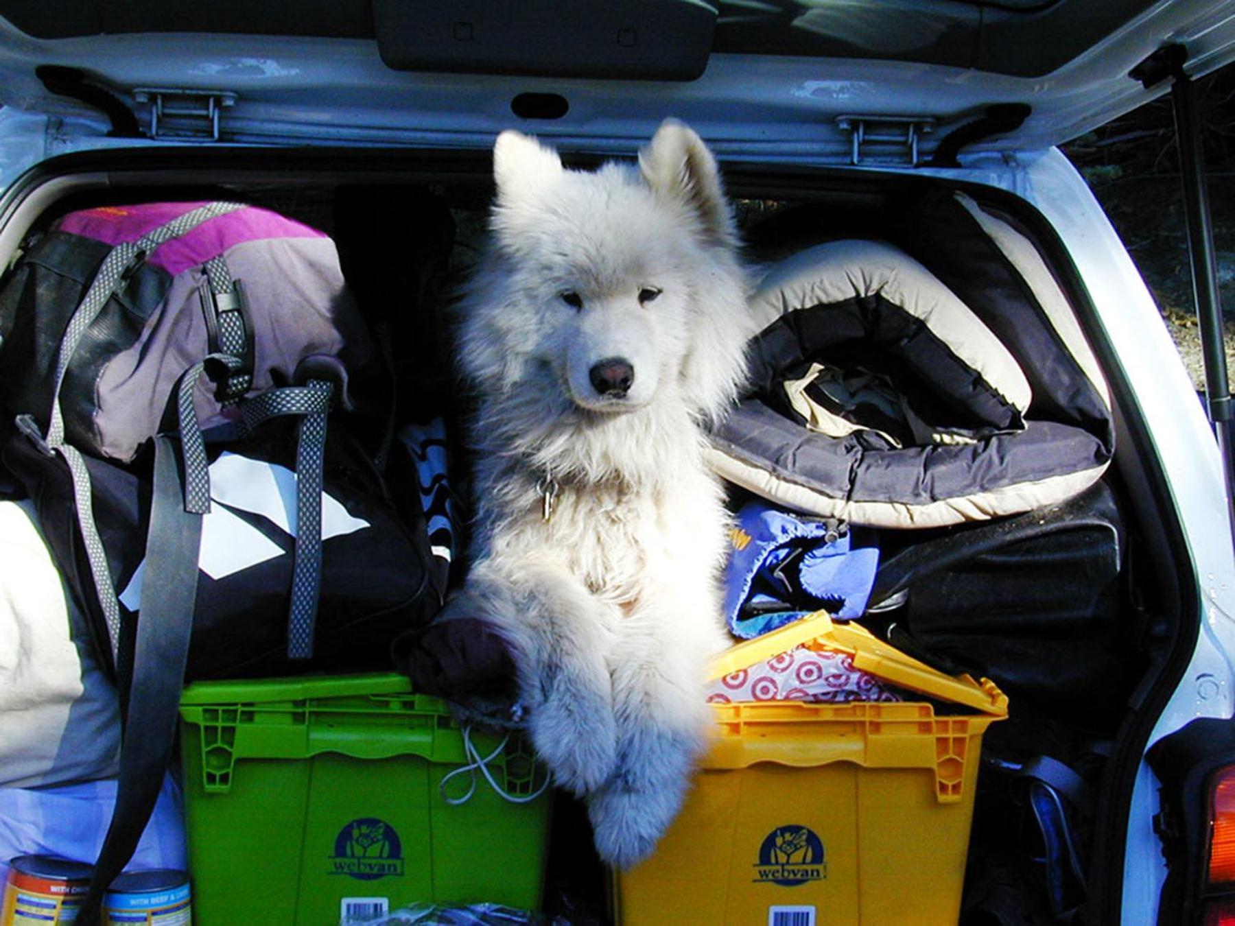 Camping Le Val De Cesse Mirepeisset 外观 照片